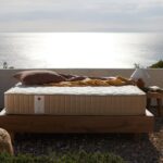 CANDIA STROM THE ESSENTIAL MALIA 170x200