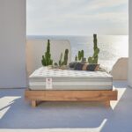 CANDIA STROM THE PRINCIPAL ACANTHUS 90x200