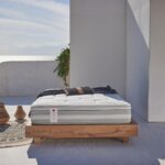 CANDIA STROM THE PRINCIPAL ASSOS 110x200