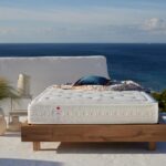 CANDIA STROM LUXURIANT PAPINGO 150x200