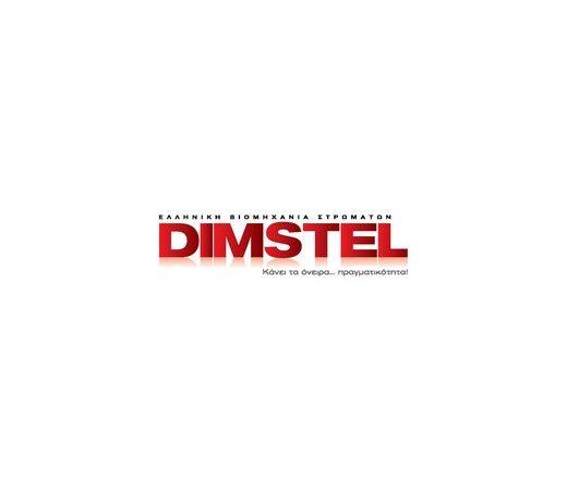 dimstel logo