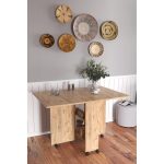 Τραπέζι STANLEY 14870204