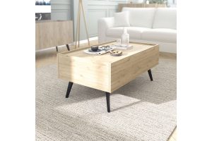 Tema 039-000210