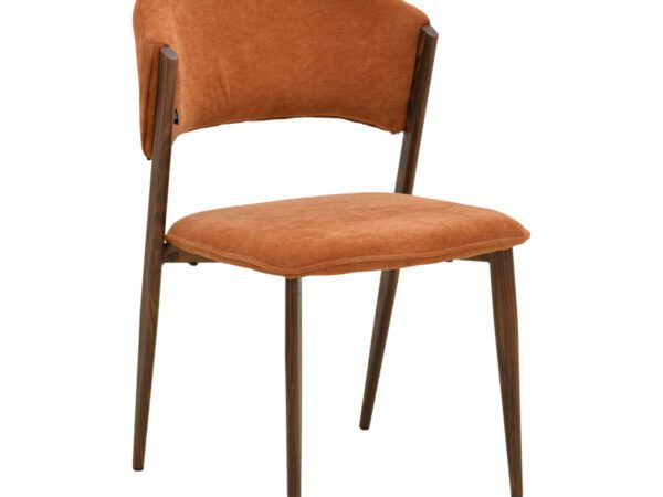 Dolez 029-000439